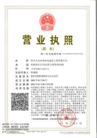 天沛营业执照副本